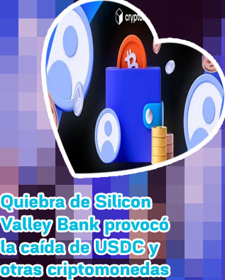 Billetera criptomonedas fisica