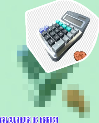 Calculadora de lotaje criptomonedas