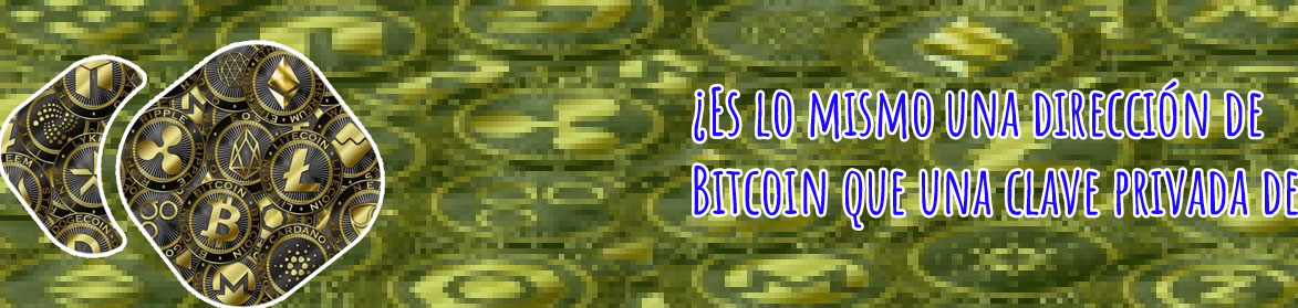 Donde guardar mis criptomonedas