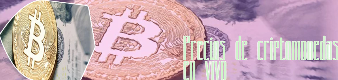 Precio bitcoin hoy en tiempo real