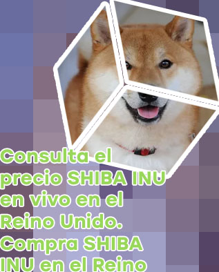 Shiba inu cotizacion en español